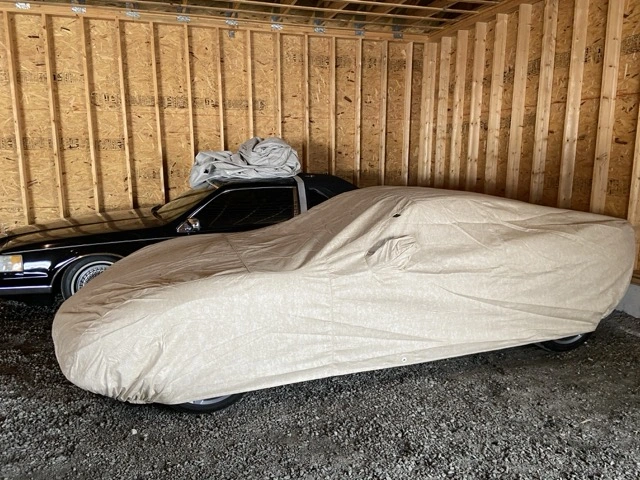 IMG_0176 Medium.webp