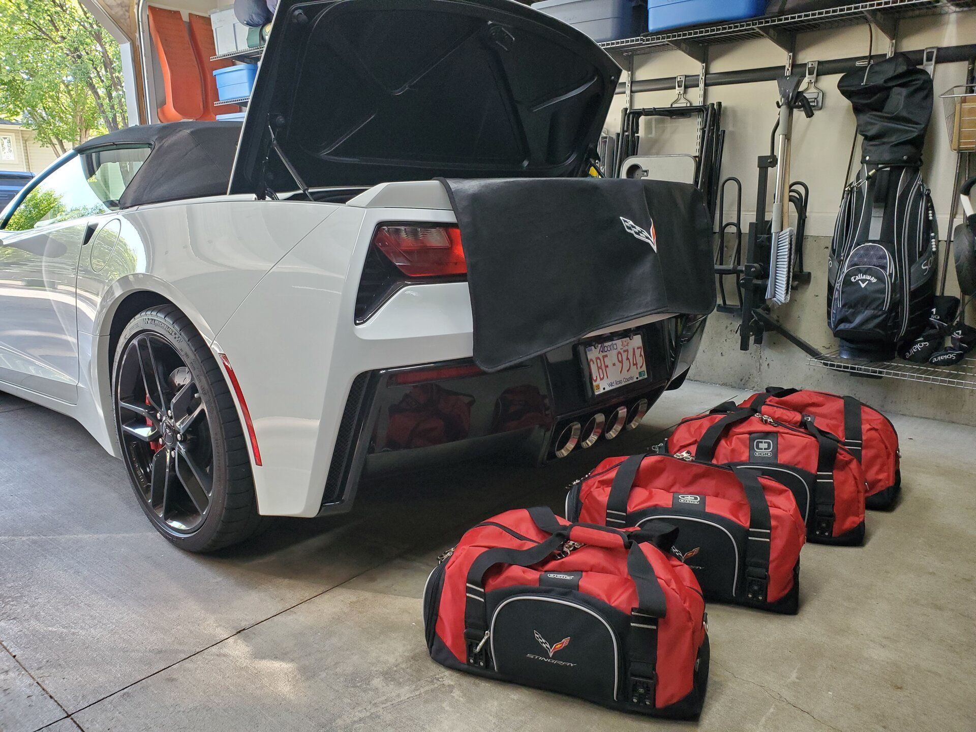 1. - Loading the trunk.jpg