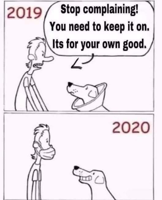 117765197_10156990020191626_7874010438043087044_n.jpg