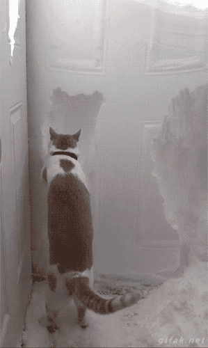 12O2W.gif