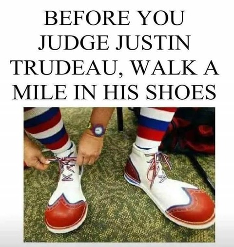 1546883918206.jpg