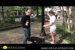 1569039867083.gif