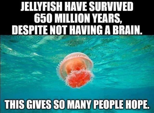 1571185123615.jpg