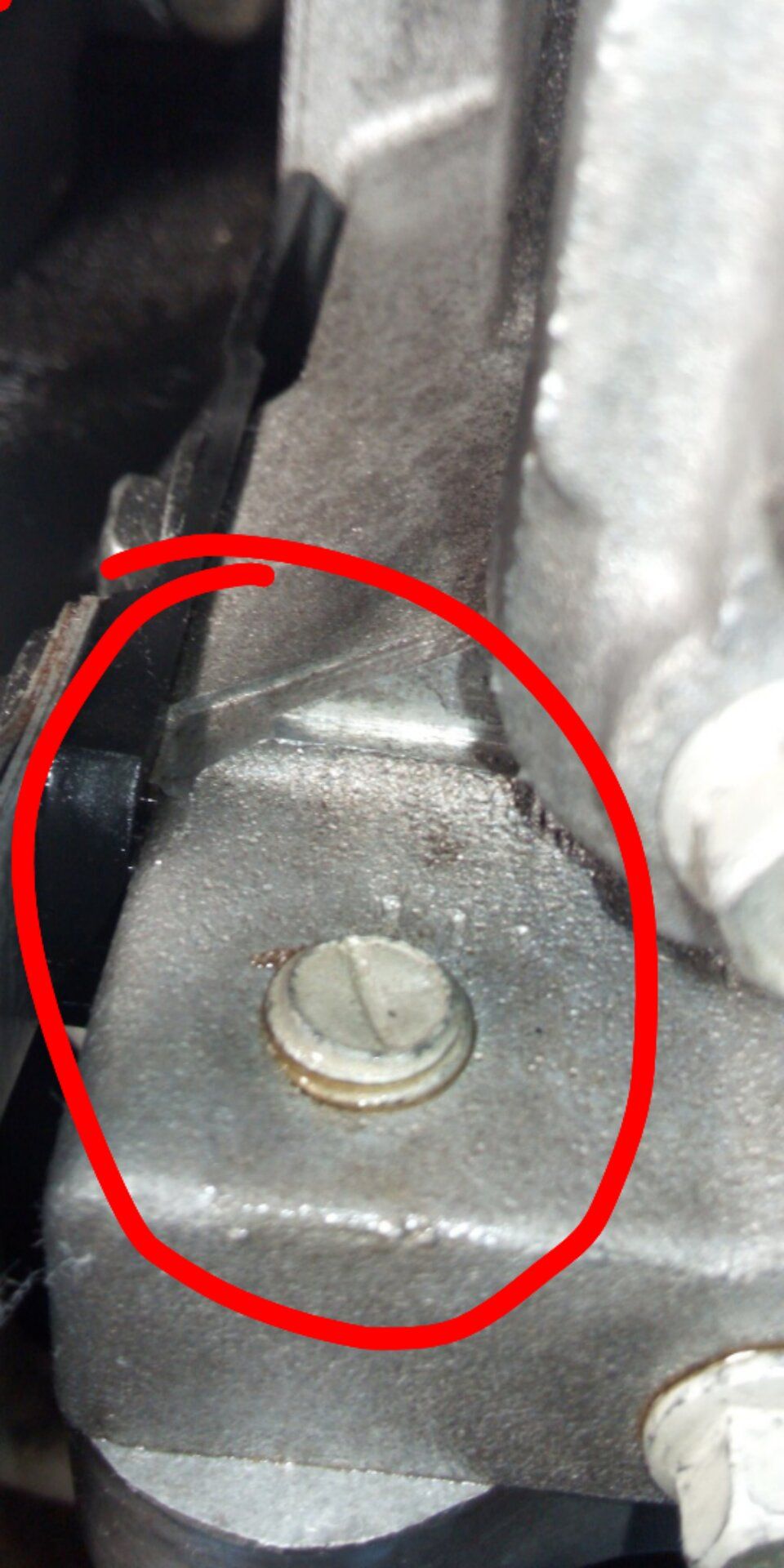 1585757205700.jpg