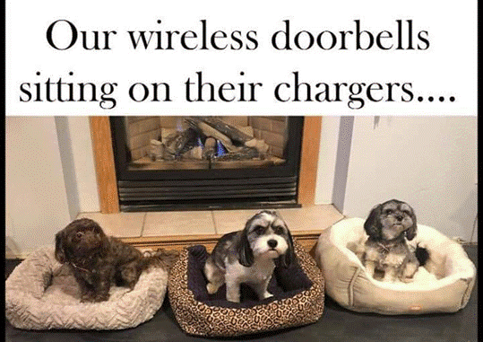 1587743412486.png