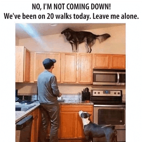 1591035897330.png