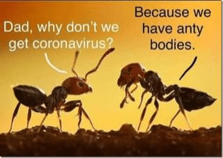 1601422692458.png