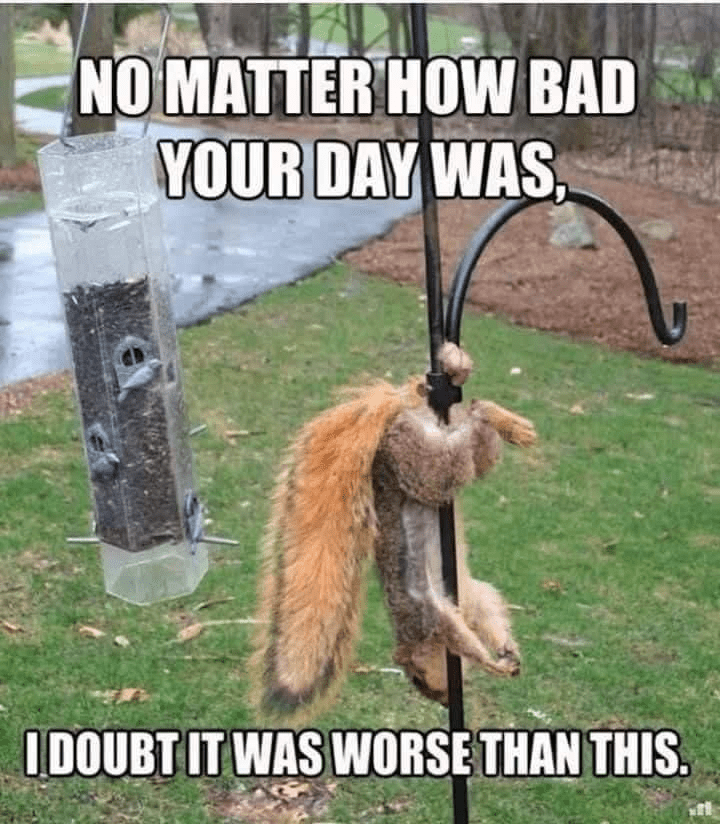 1617755654772.png