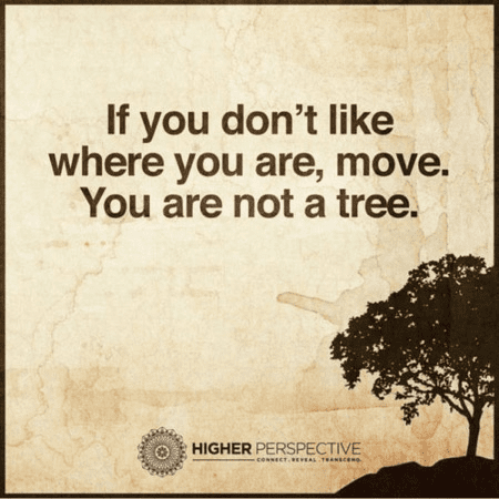 1620480962824.png