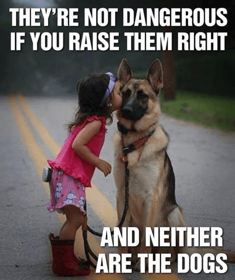1620481101906.png