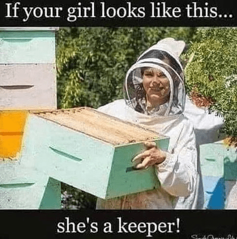 1620481396347.png