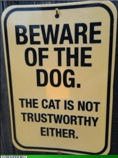 1622857240941.png