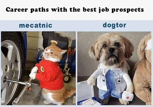 1629755600458.png