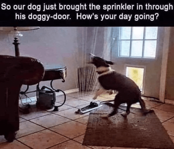 1634819877202.png