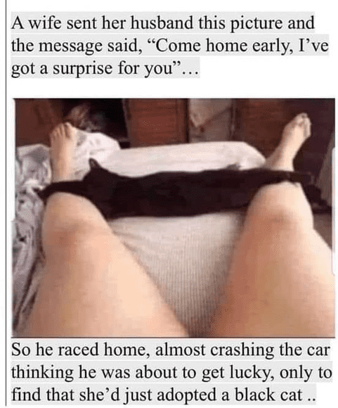1634819920448.png