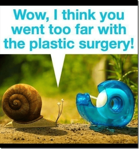 1634902138253.png