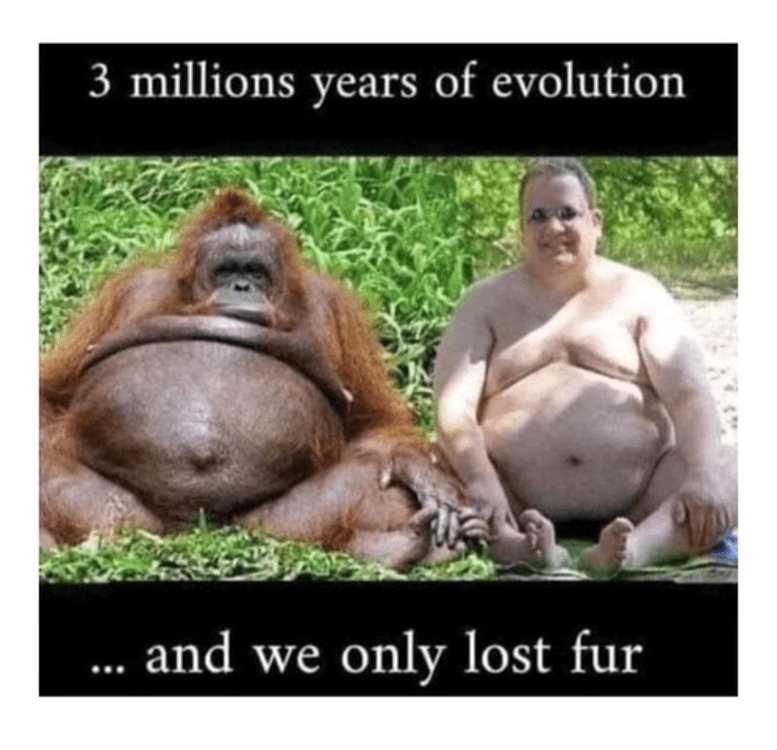 1639962654588.png