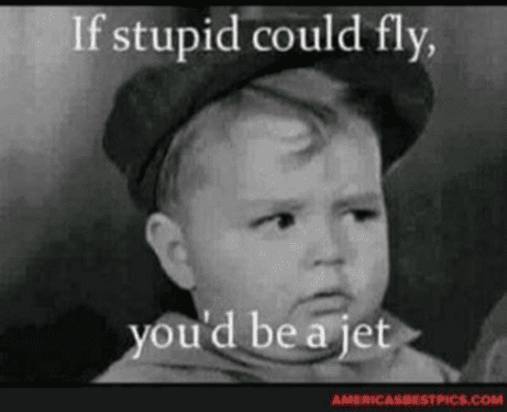 1643817236195.png
