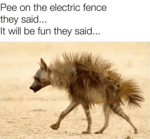 1652891431363.png