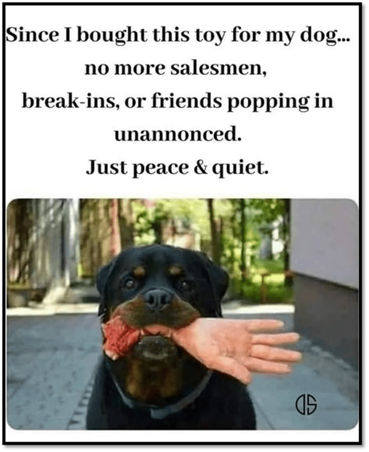 1654648256493.png