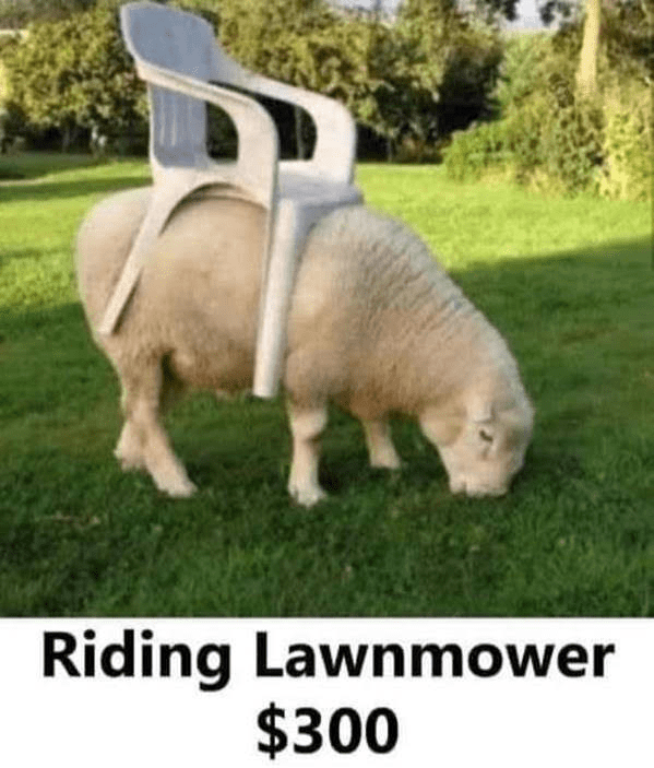 1658888597182.png