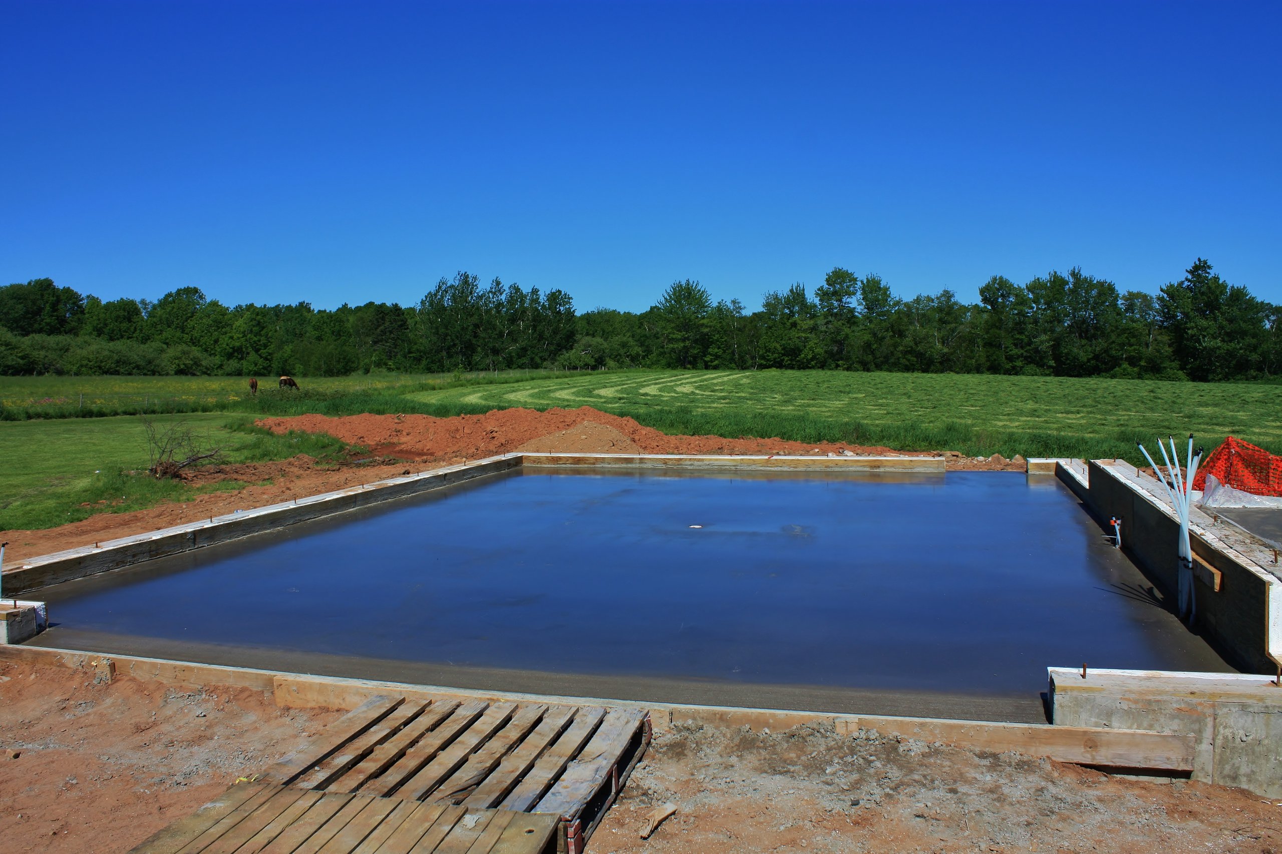 17 June 15 Download 076.JPG