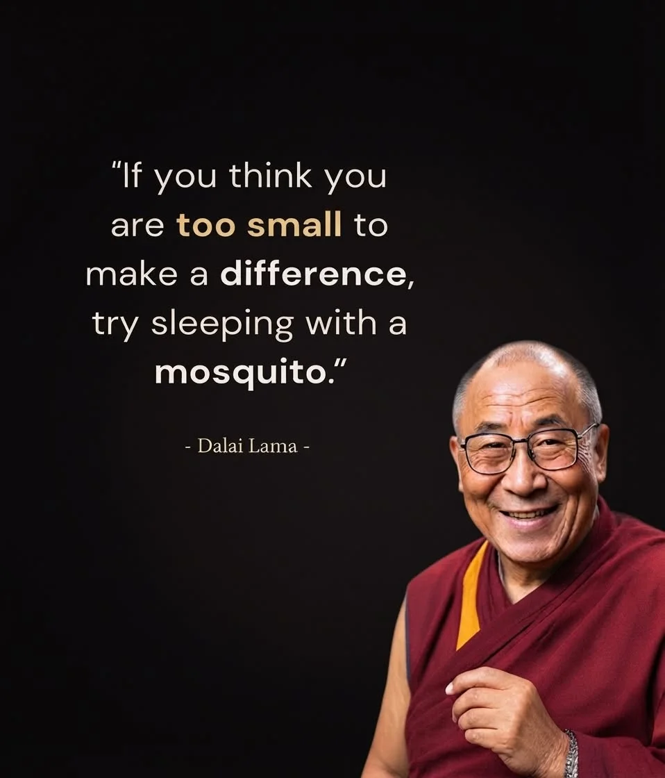 1790268841289.webp