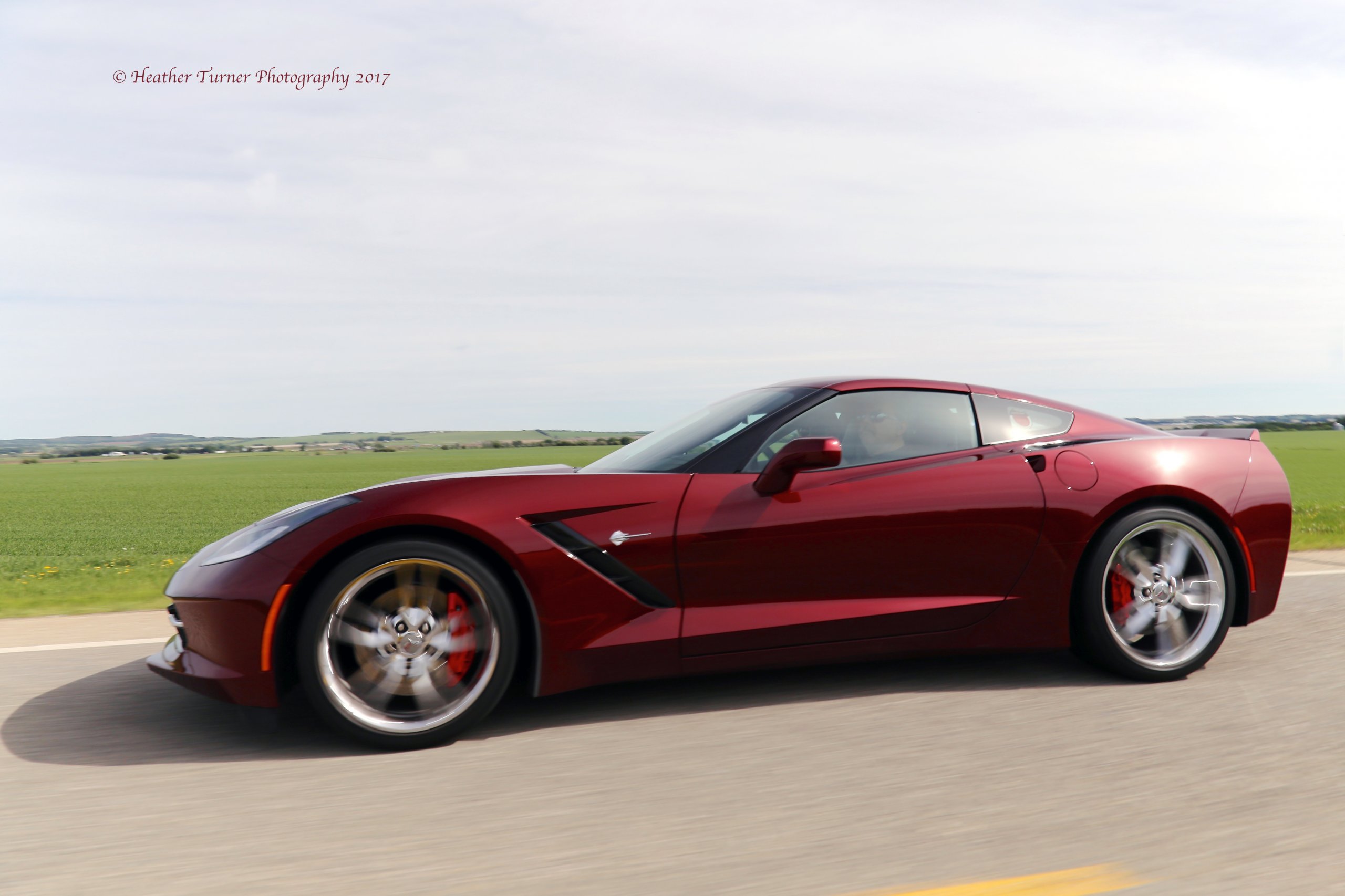 2 © Red and Red Stingray 6-03-2017.jpg