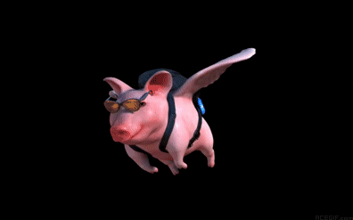 20-black-background-pig-acegif.gif