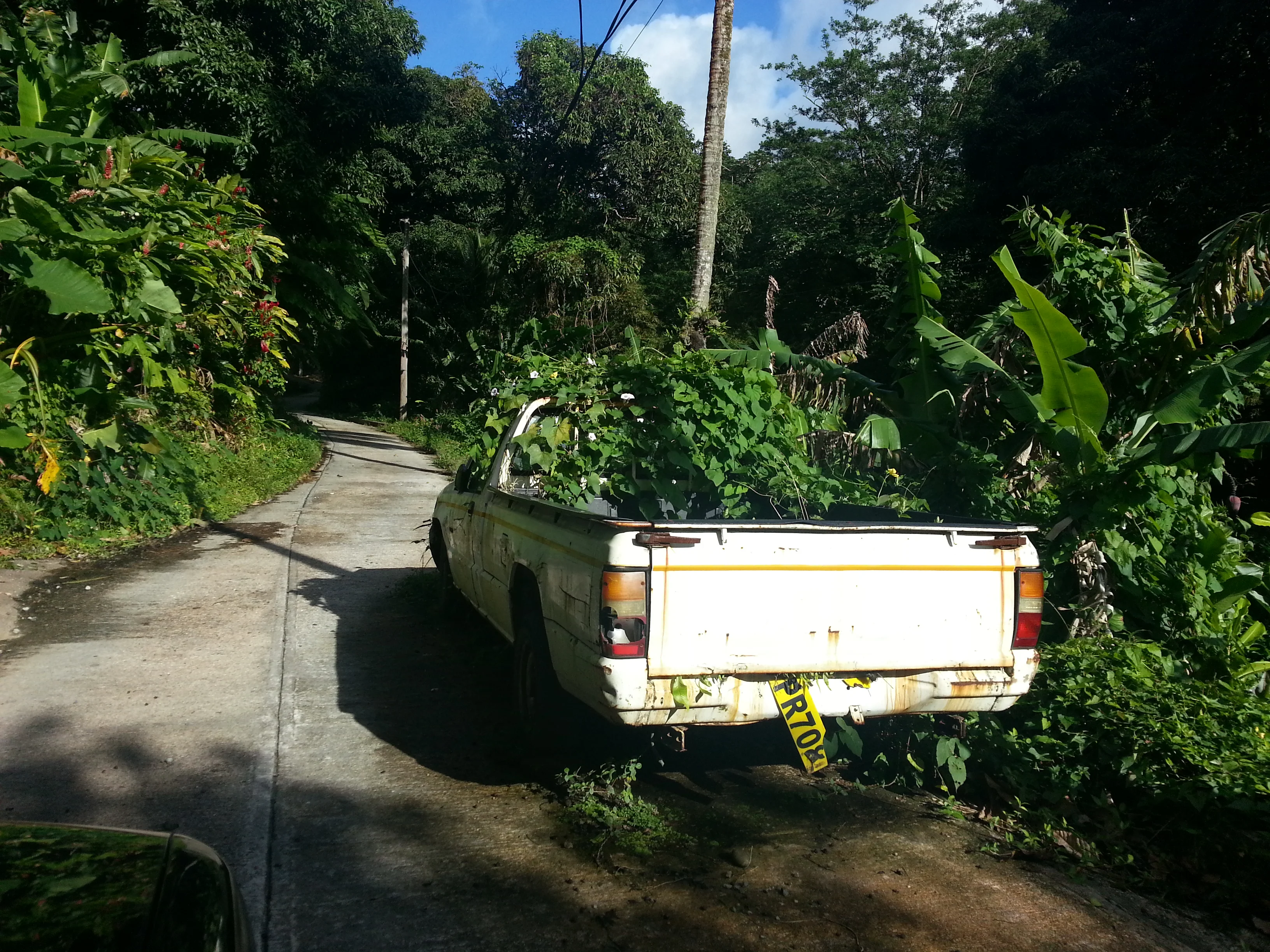 20140218_161851 (1).webp