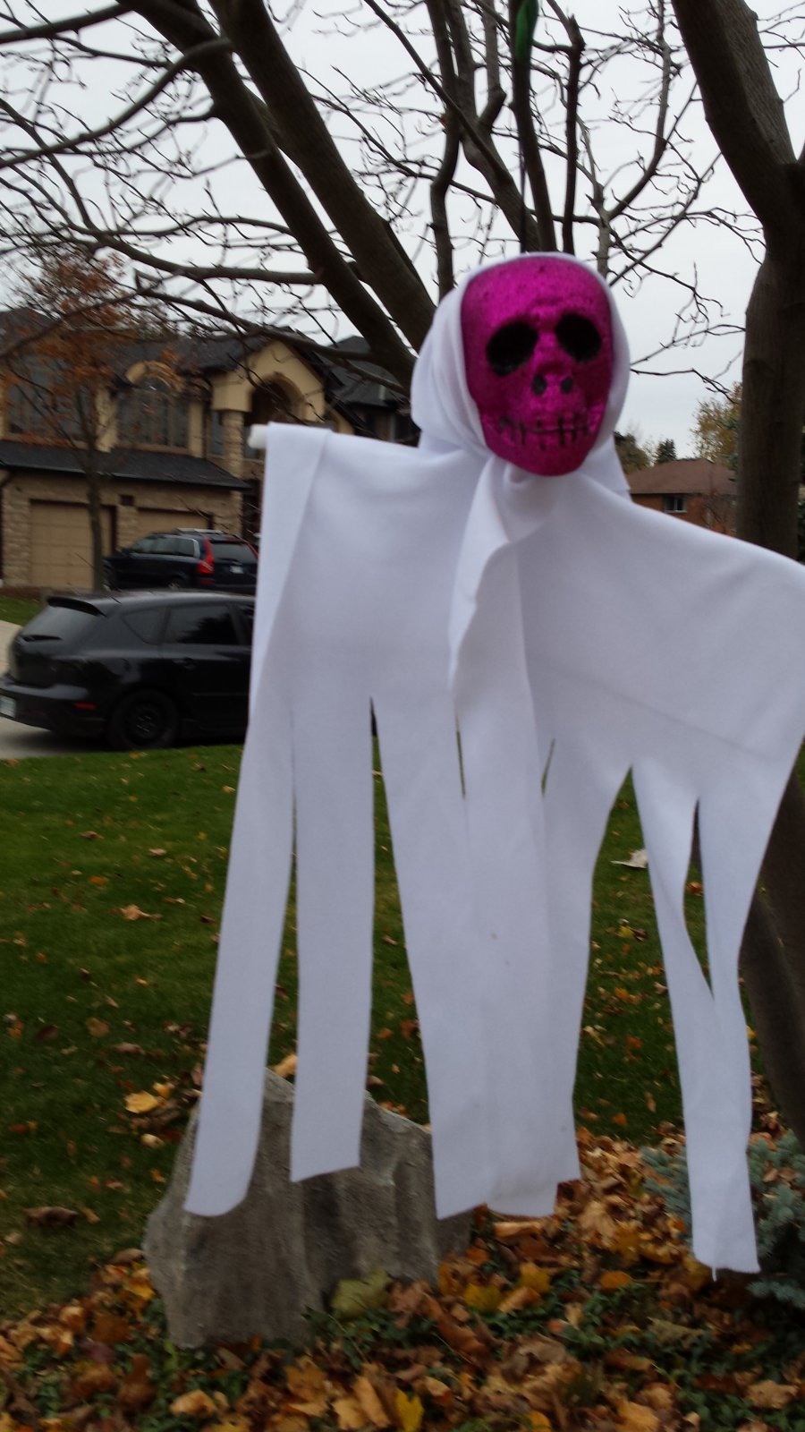 2015-10-31 17.15.08.jpg