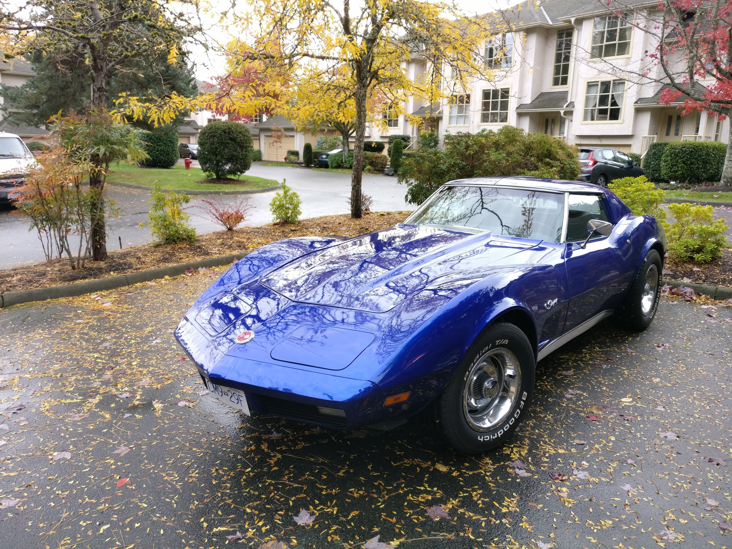 2016-10-16 12.10.14.jpg