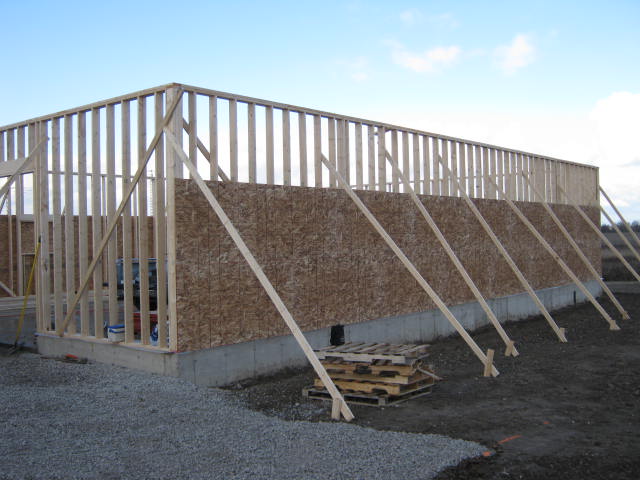 2016-11-16 03.05.05.jpg