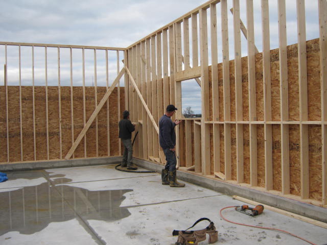 2016-11-16 04.48.48.jpg