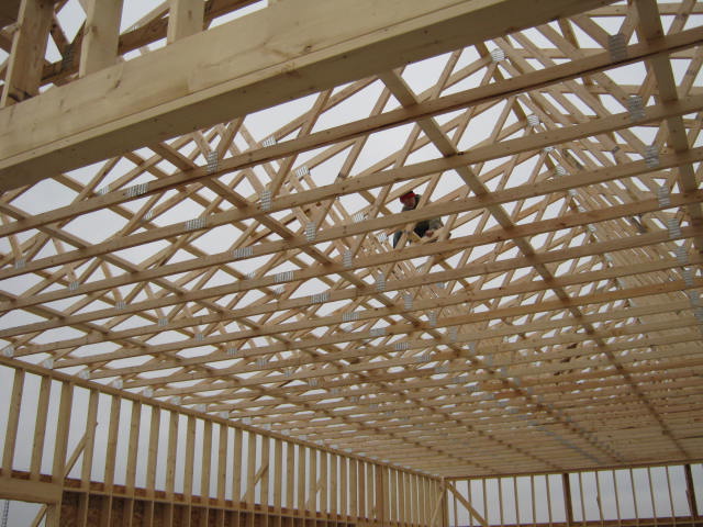 2016-11-23 03.35.32.jpg