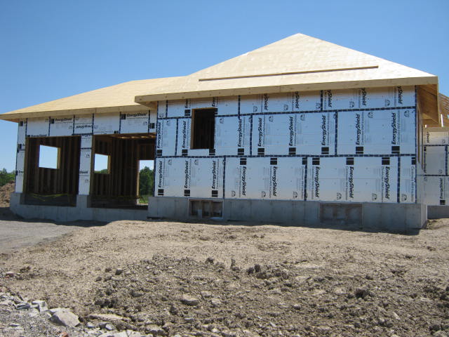 2017-07-04 01.14.46.jpg