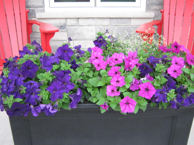 2018-06-24 07.51.21.jpg