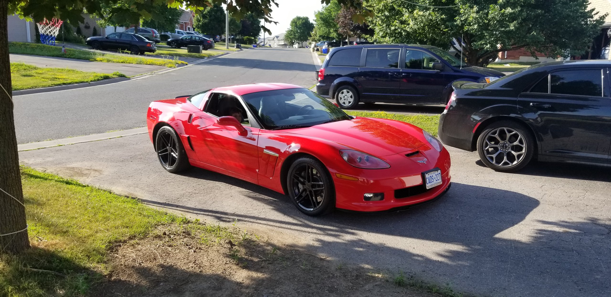 20180705_081857 (002).jpg