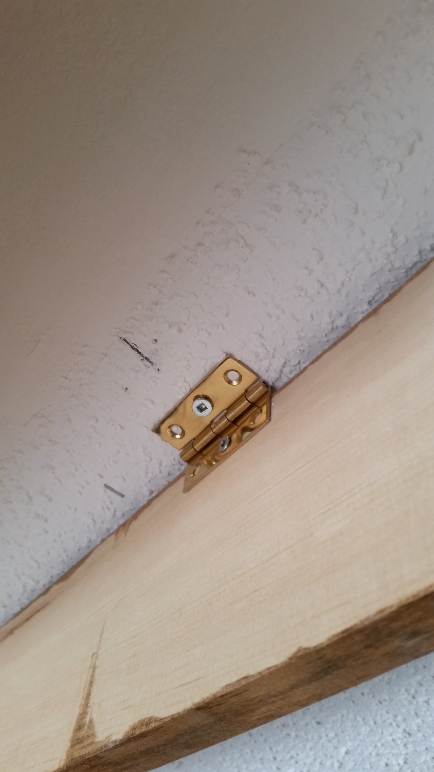20181030_150828.jpg