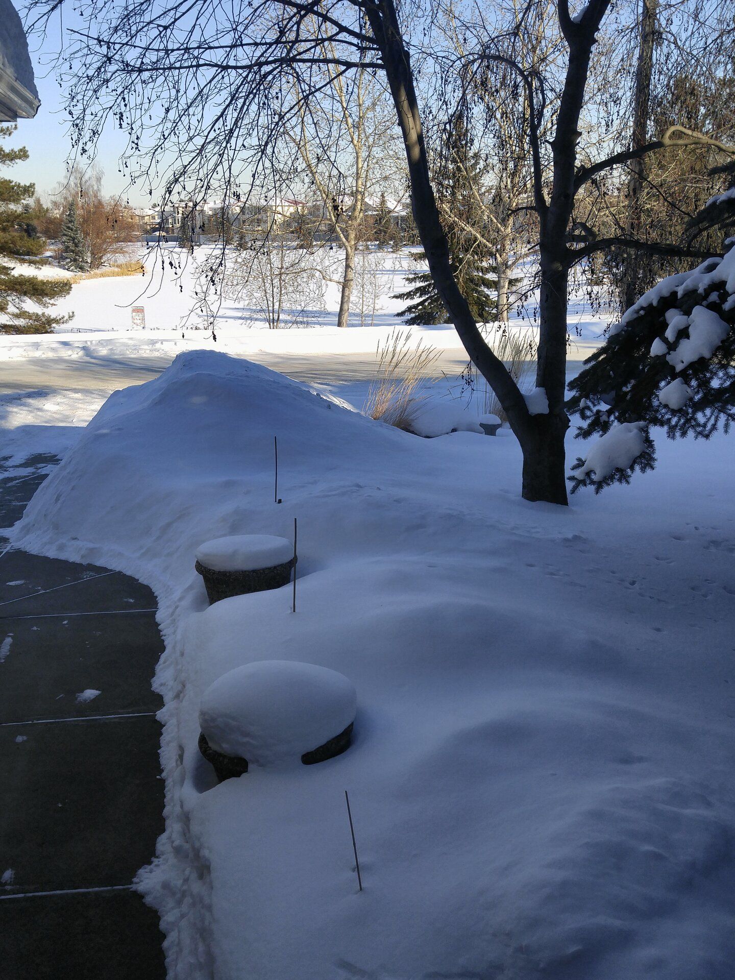 20190225_152640.jpg