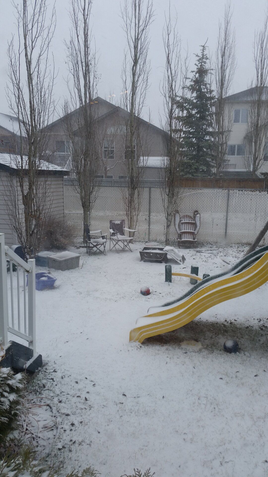 20190427_160821.jpg