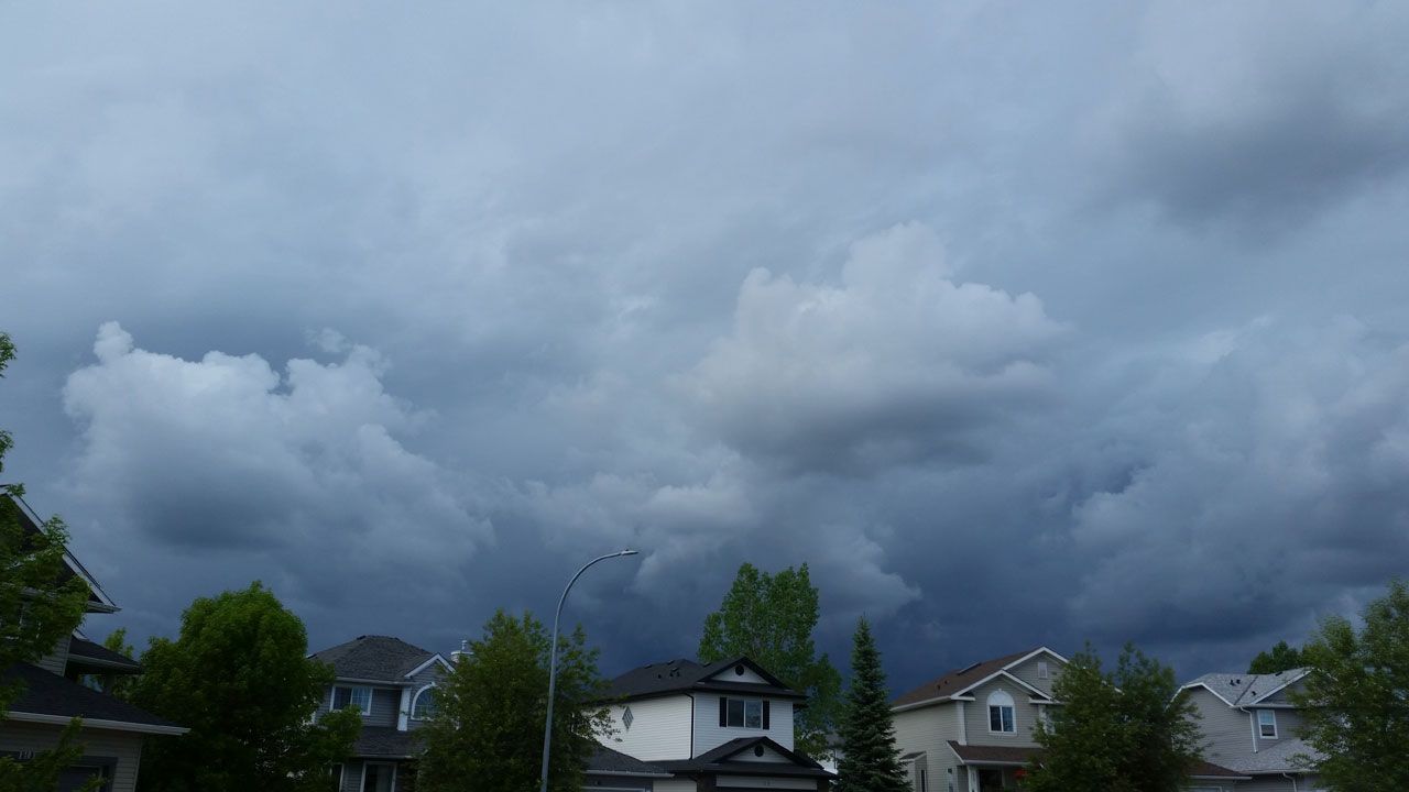 20190614_160951.jpg