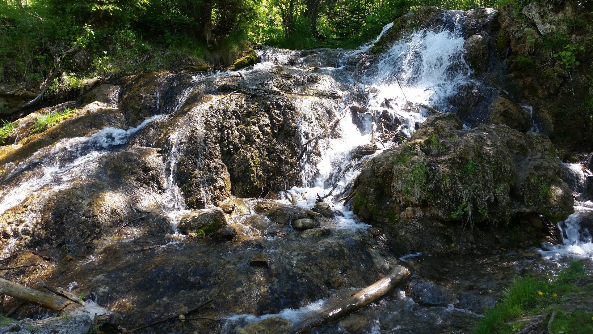 20190615_150531.jpg