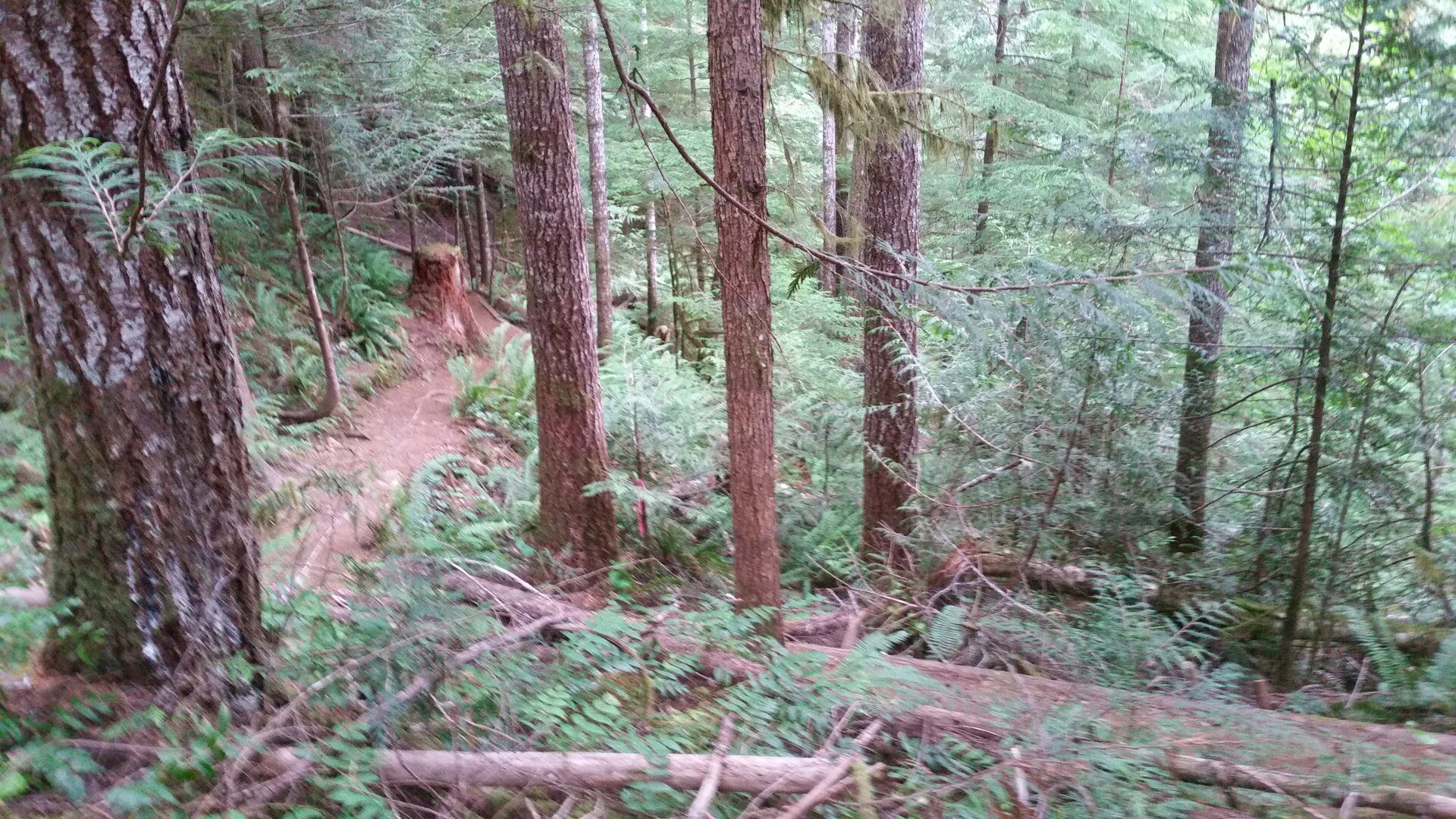 20190708_133414.jpg