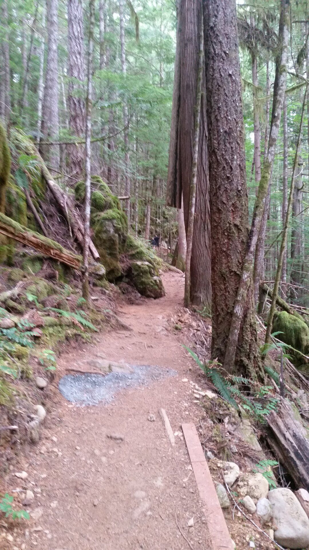 20190708_133616.jpg