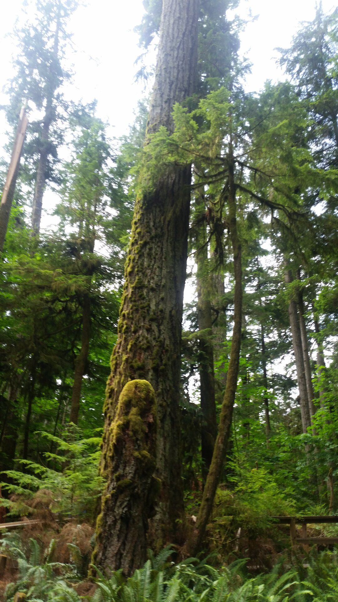 20190709_112536.jpg