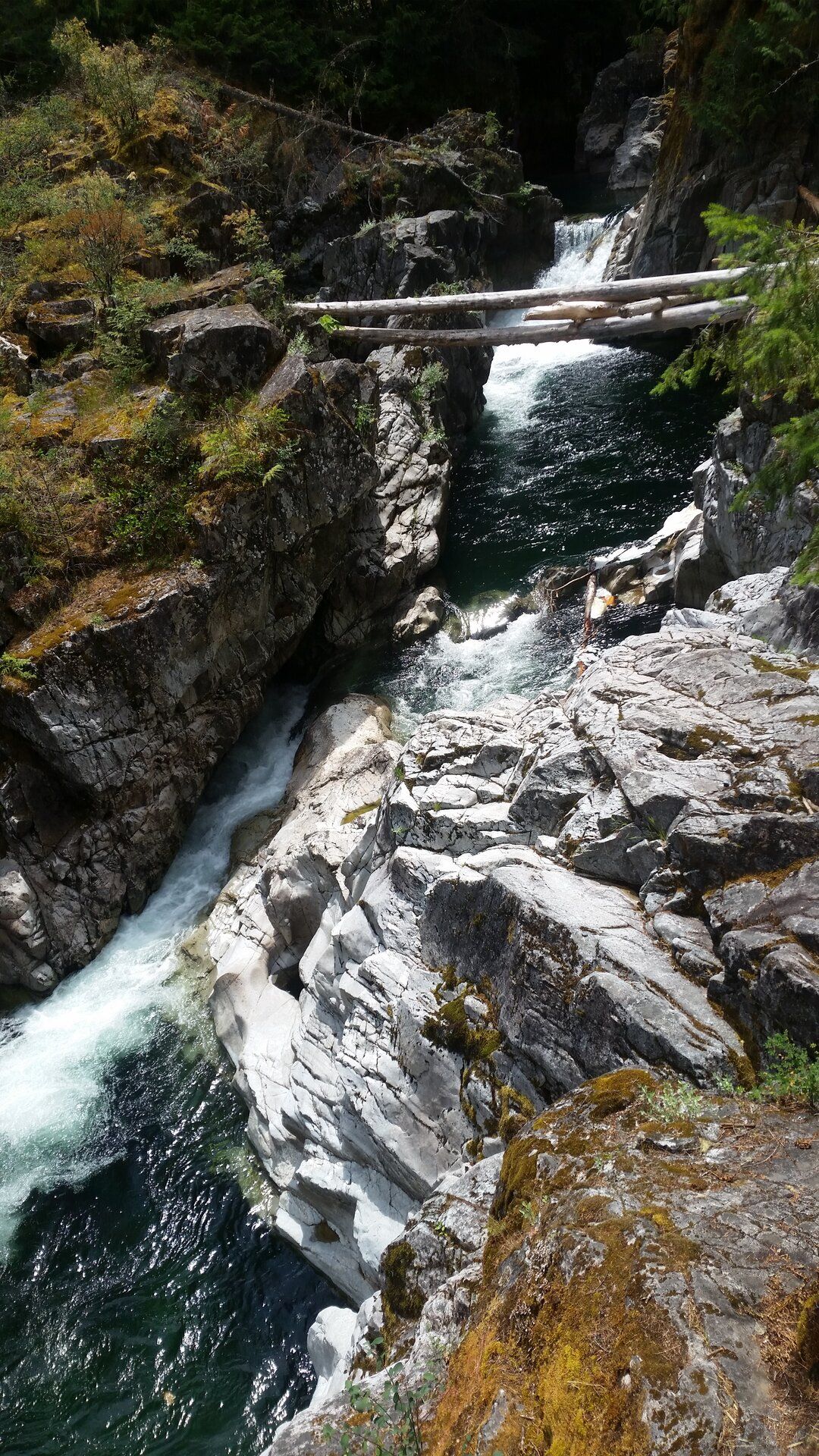 20190709_130227.jpg