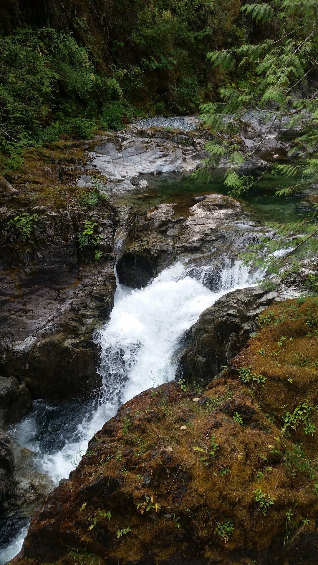 20190709_130644.jpg