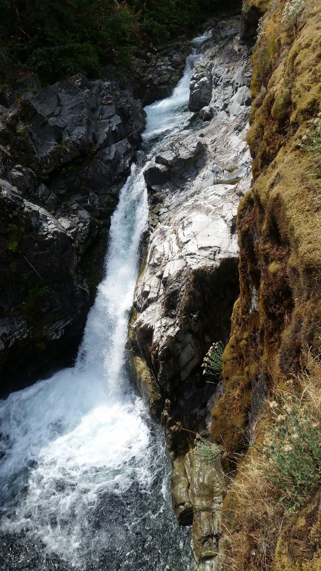 20190709_132134.jpg