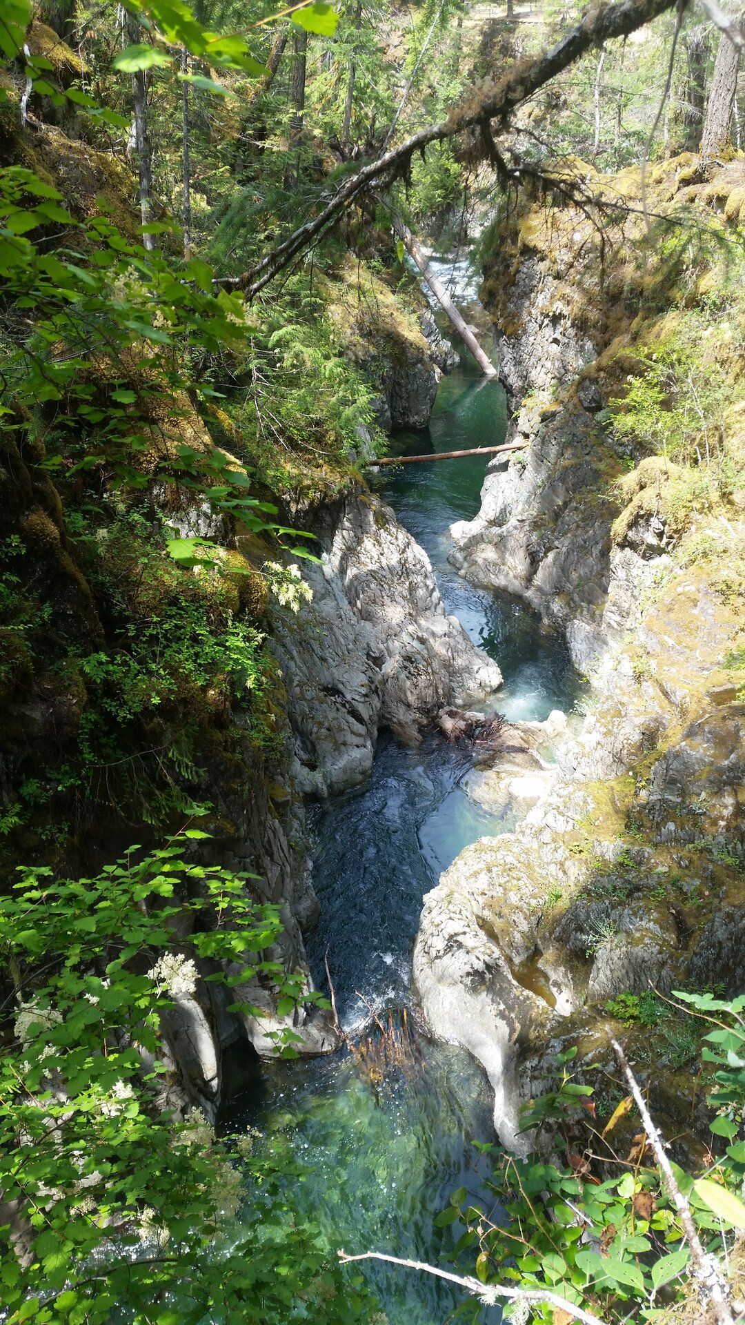 20190709_133827.jpg